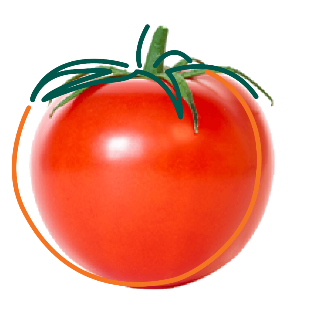 Tomate Bola